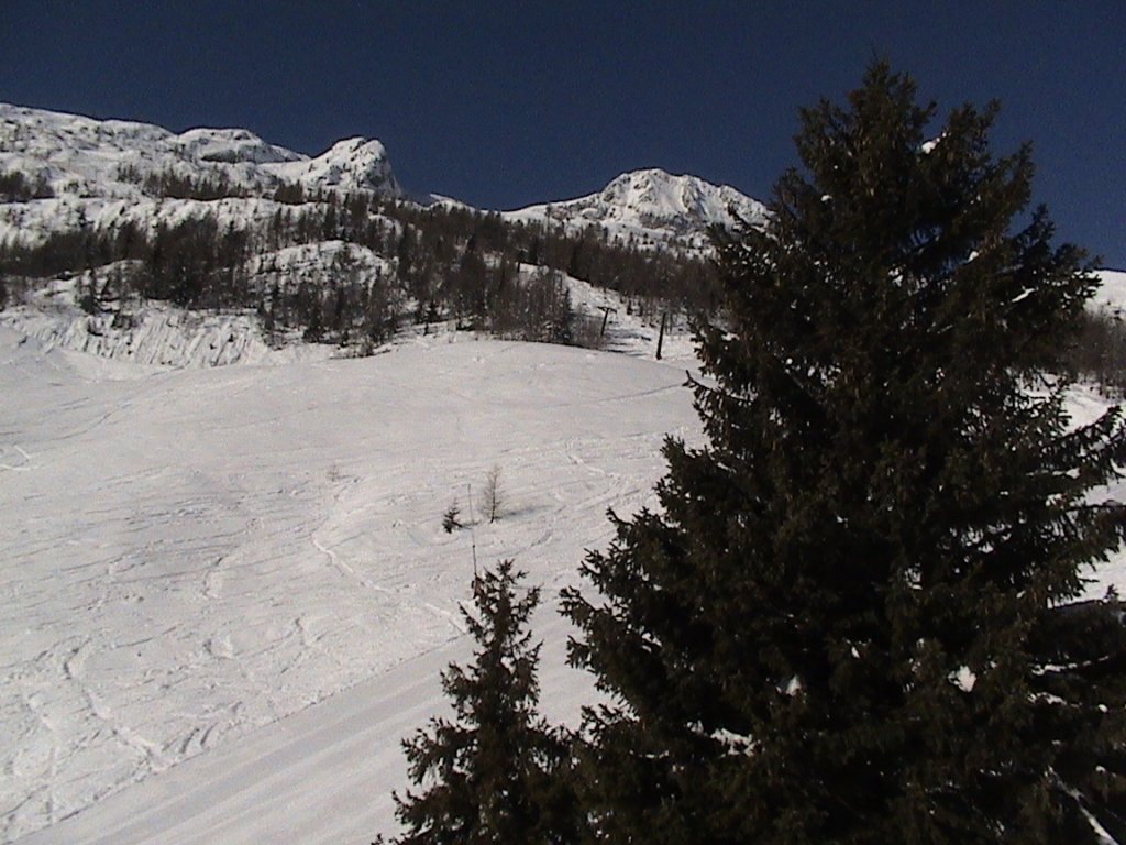 Clicca per vedere l'immagine alla massima grandezza