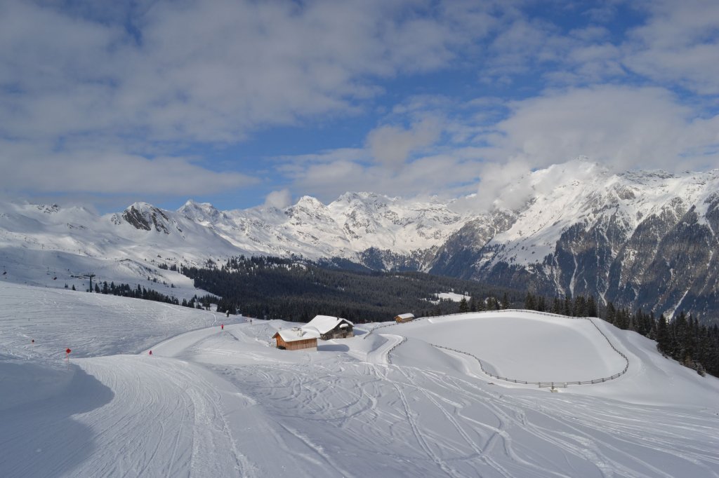 Clicca per vedere l'immagine alla massima grandezza