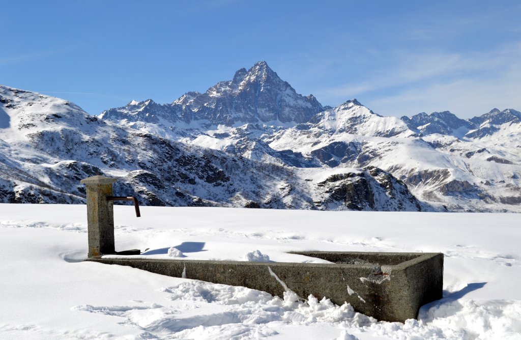 Clicca per vedere l'immagine alla massima grandezza