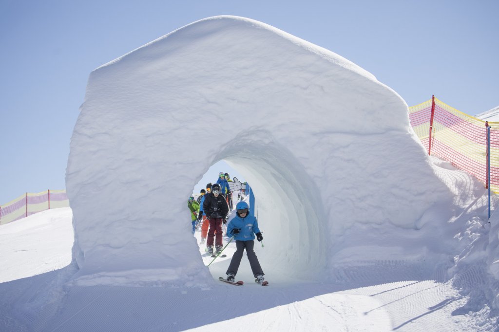 Clicca per vedere l'immagine alla massima grandezza