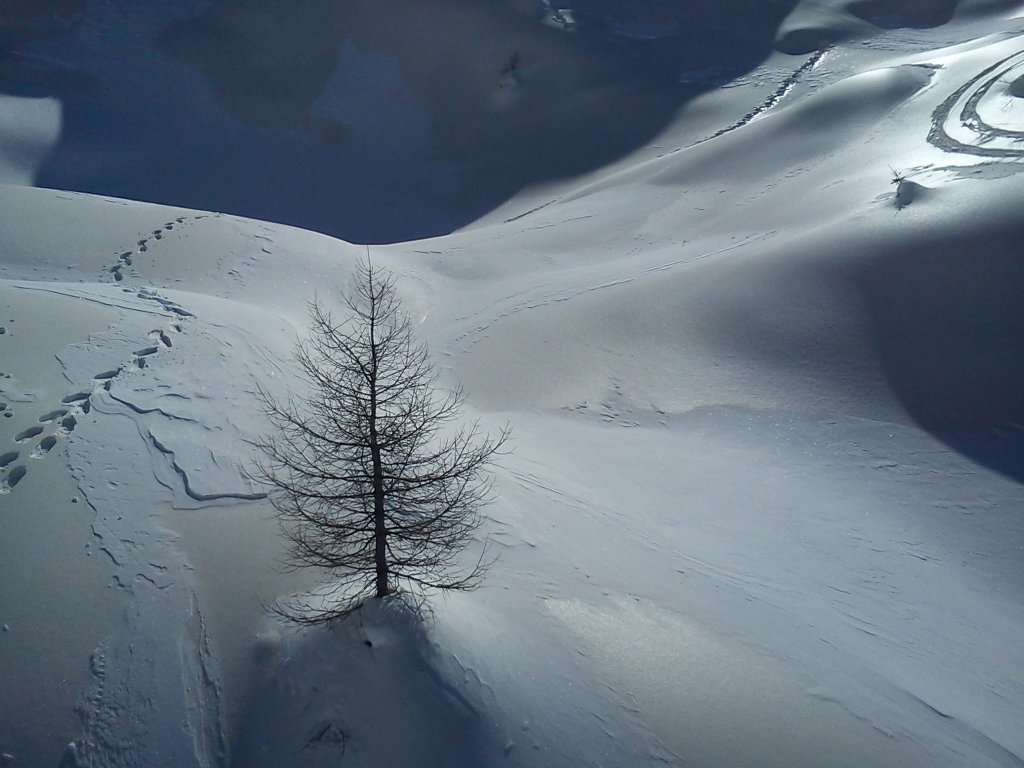 Clicca per vedere l'immagine alla massima grandezza