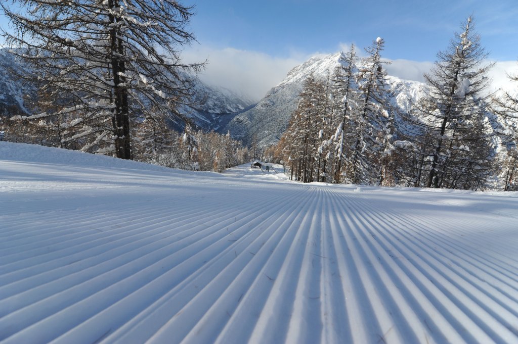 Clicca per vedere l'immagine alla massima grandezza