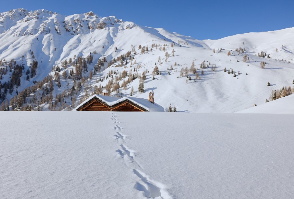 Clicca per vedere l'immagine alla massima grandezza