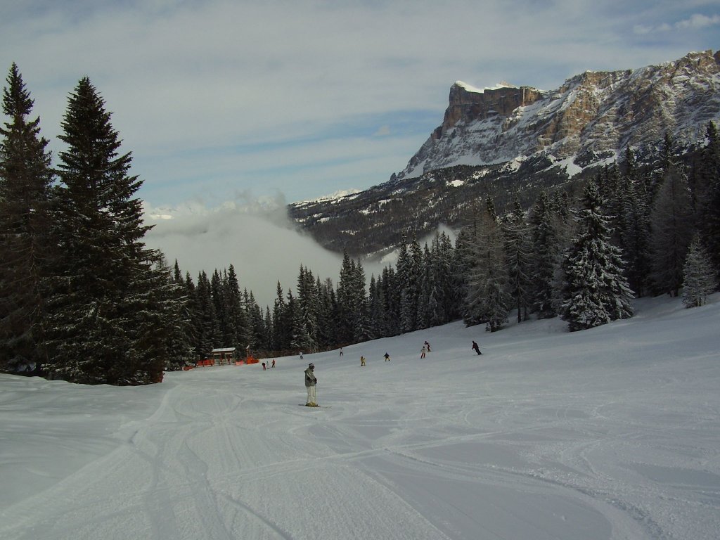 Clicca per vedere l'immagine alla massima grandezza