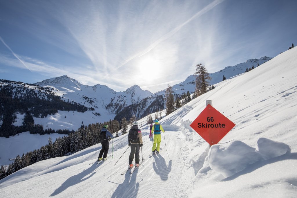 Clicca per vedere l'immagine alla massima grandezza