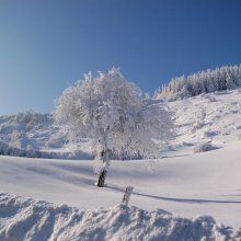 Eremo_monte_carpegna.jpg