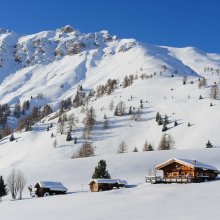 chalets-alpe-lusia.jpg