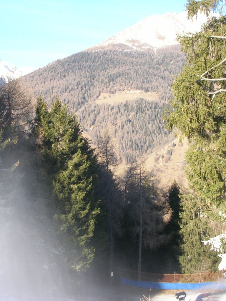 Clicca per vedere l'immagine alla massima grandezza