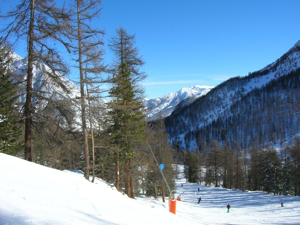 Clicca per vedere l'immagine alla massima grandezza