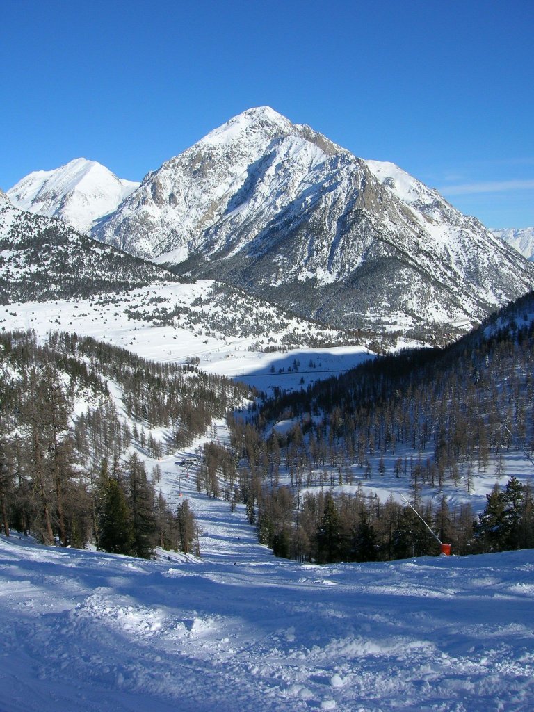 Clicca per vedere l'immagine alla massima grandezza