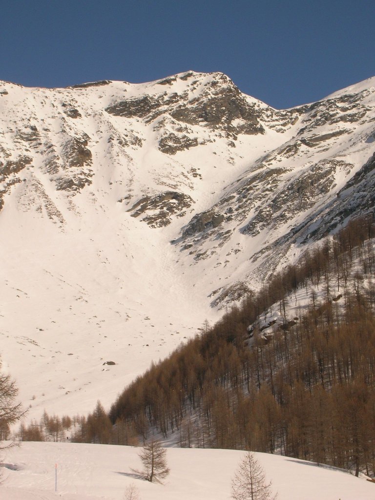 Clicca per vedere l'immagine alla massima grandezza