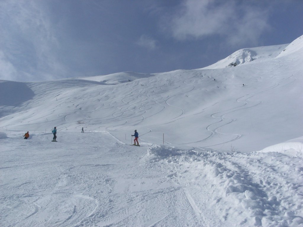 Clicca per vedere l'immagine alla massima grandezza