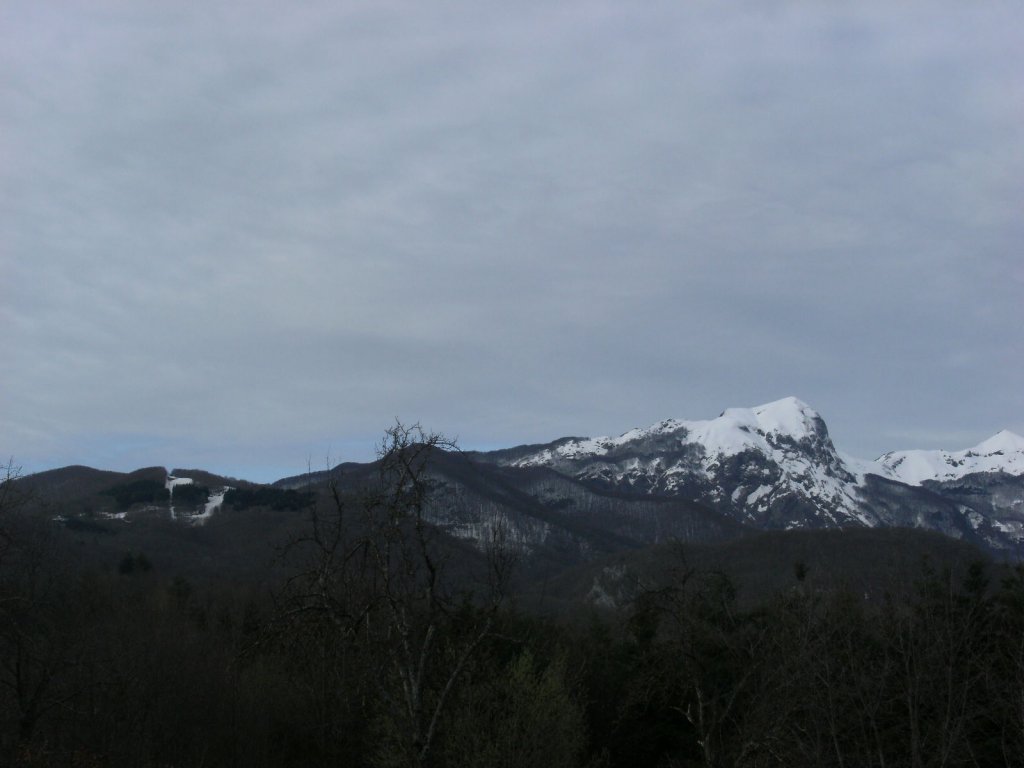 Clicca per vedere l'immagine alla massima grandezza