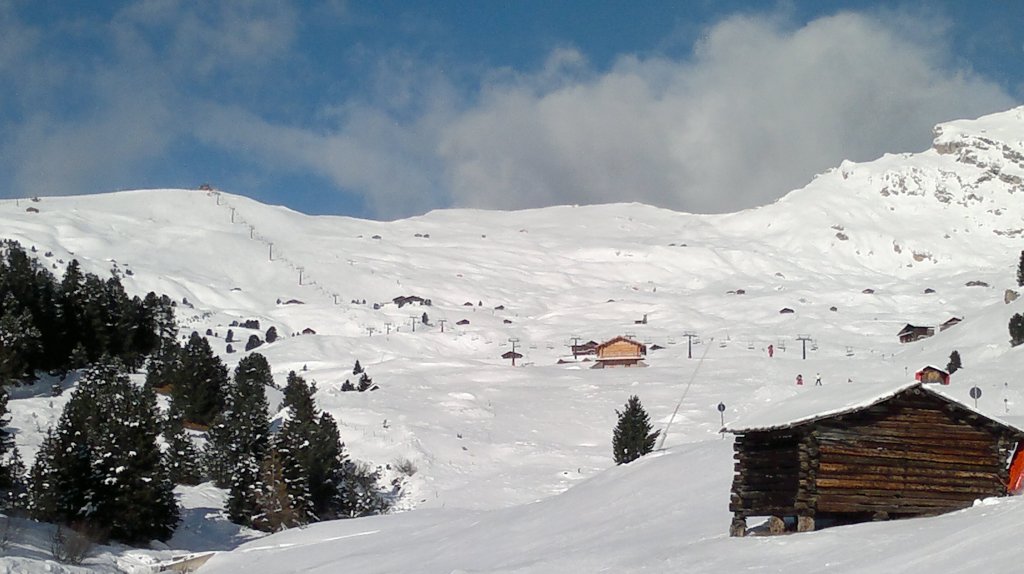 Clicca per vedere l'immagine alla massima grandezza