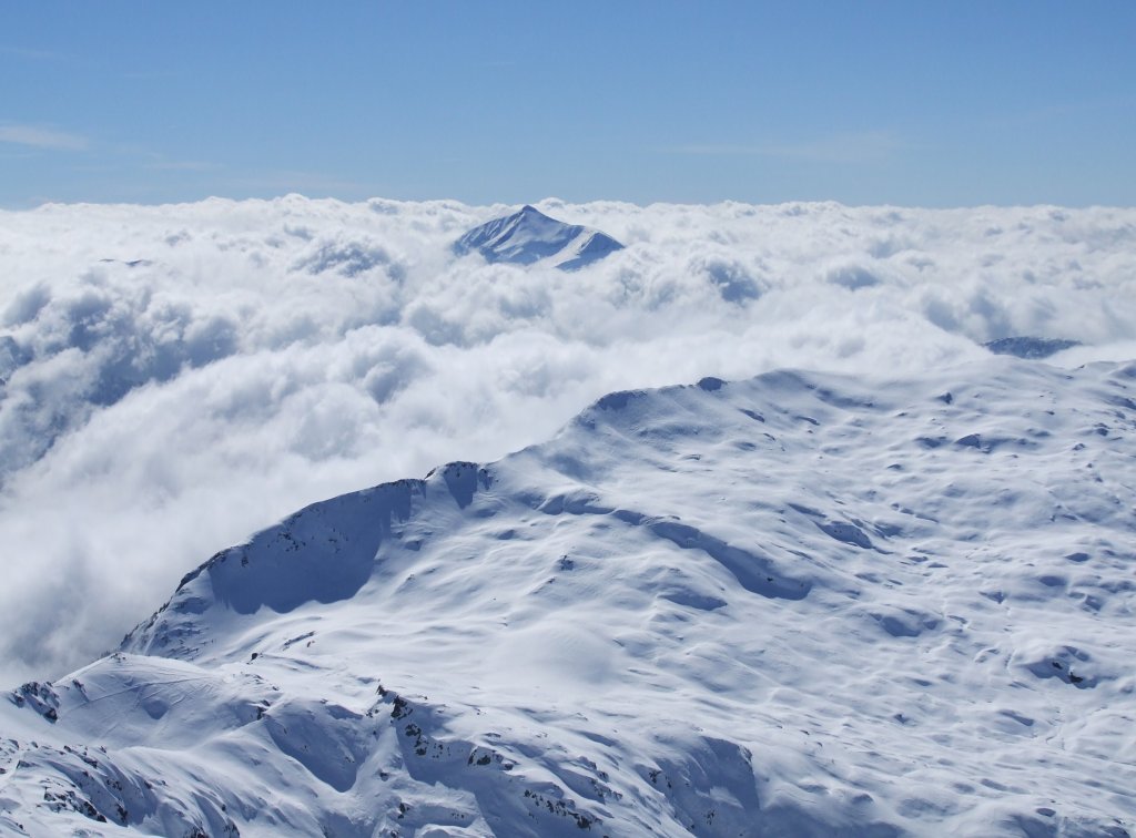 Clicca per vedere l'immagine alla massima grandezza