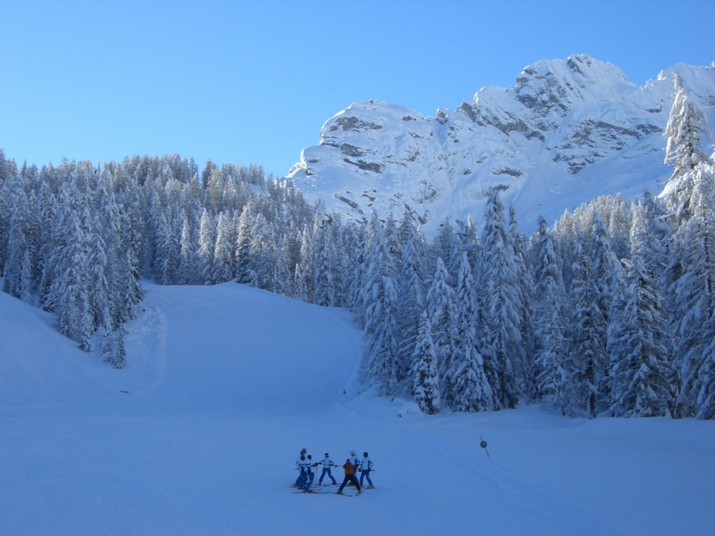 Clicca per vedere l'immagine alla massima grandezza