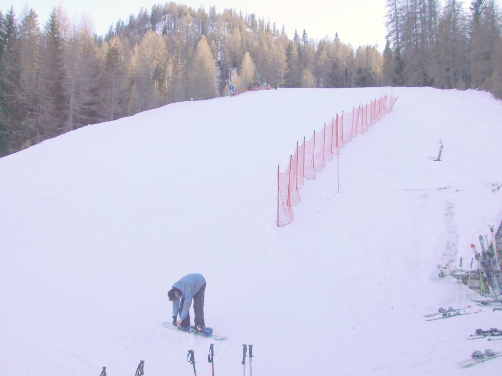 Clicca per vedere l'immagine alla massima grandezza