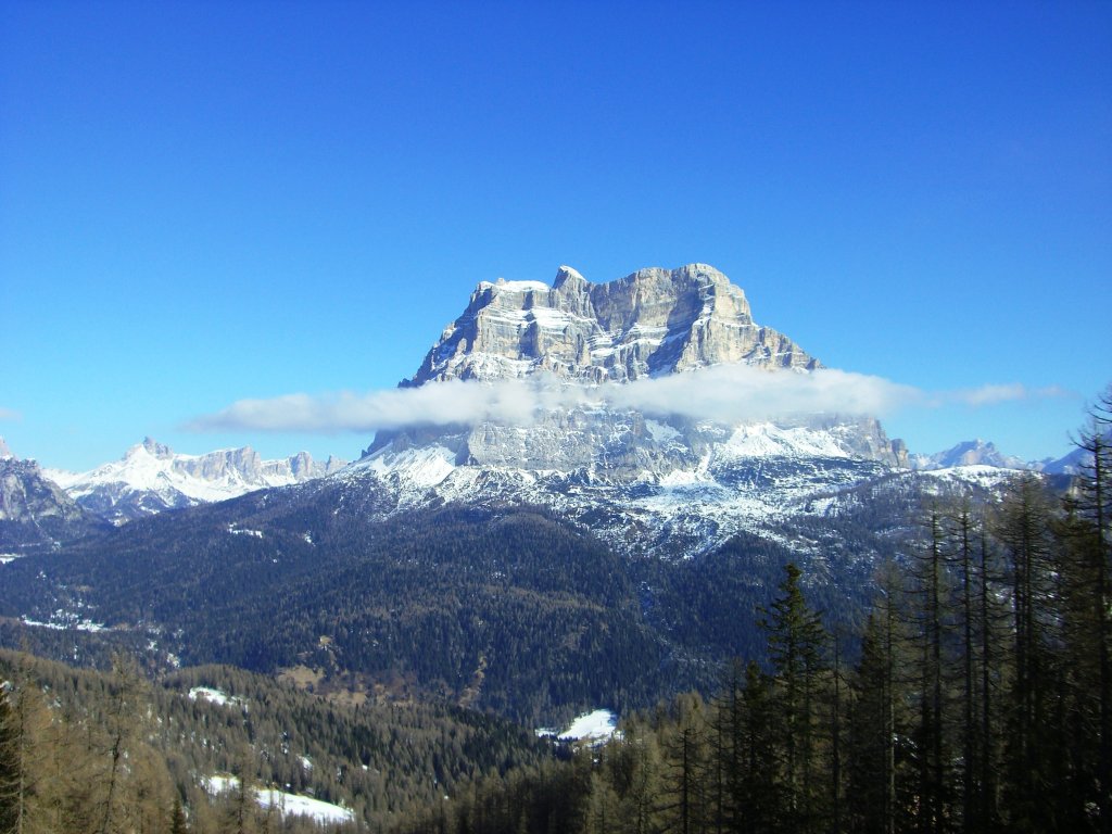 Clicca per vedere l'immagine alla massima grandezza