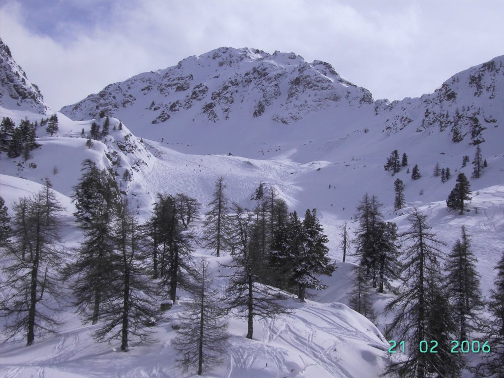 Clicca per vedere l'immagine alla massima grandezza