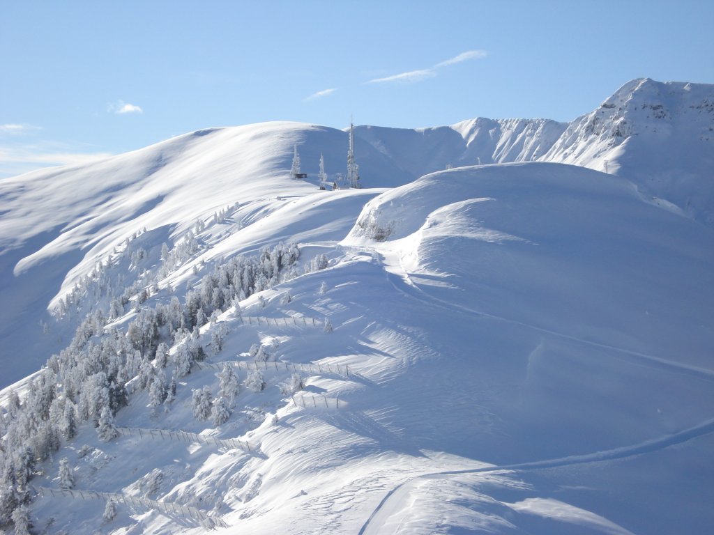 Clicca per vedere l'immagine alla massima grandezza