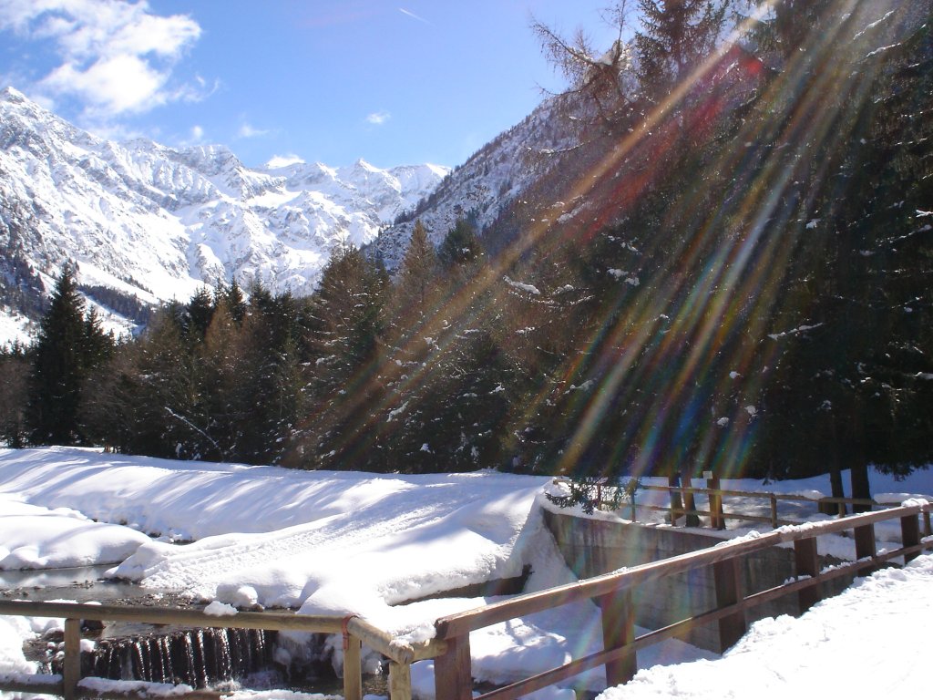 Clicca per vedere l'immagine alla massima grandezza