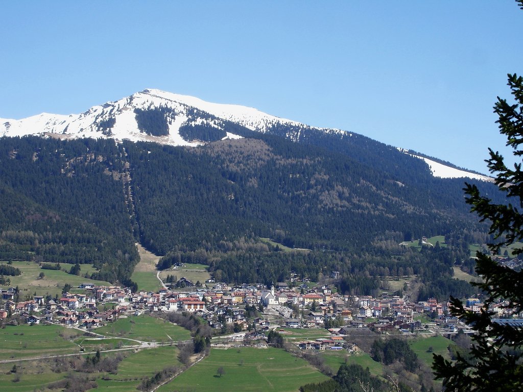 Clicca per vedere l'immagine alla massima grandezza