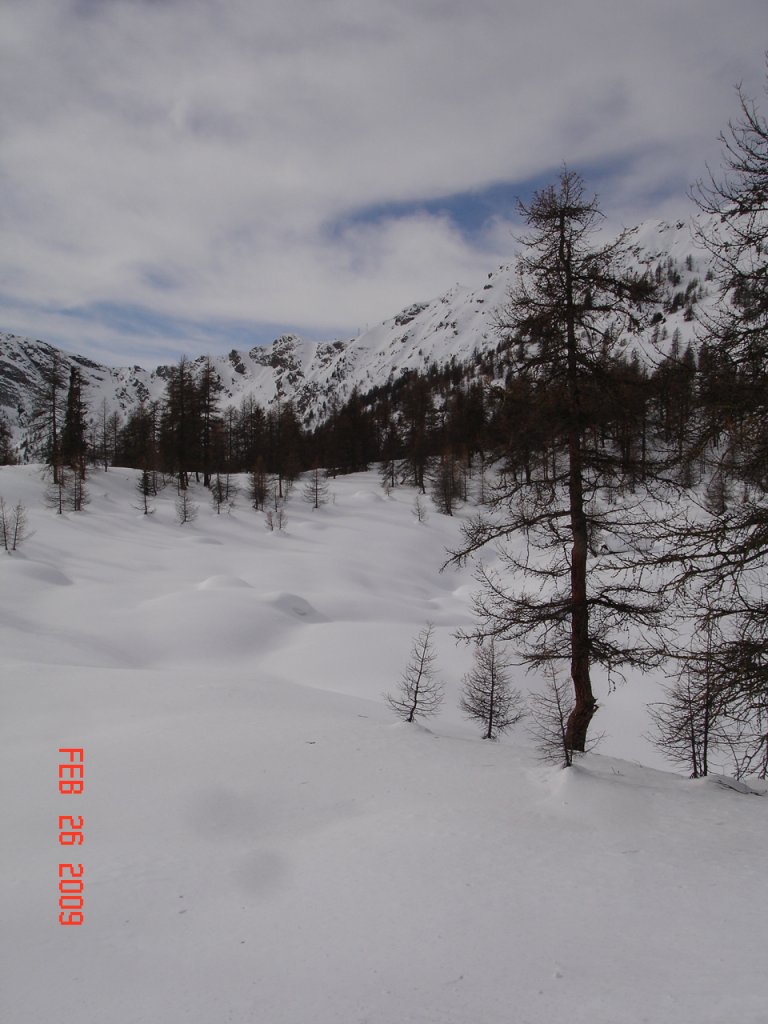 Clicca per vedere l'immagine alla massima grandezza