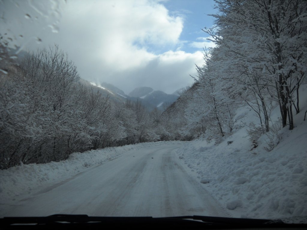 Clicca per vedere l'immagine alla massima grandezza