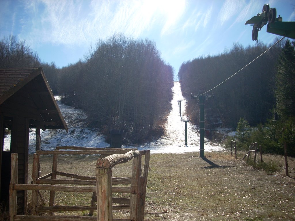 Clicca per vedere l'immagine alla massima grandezza