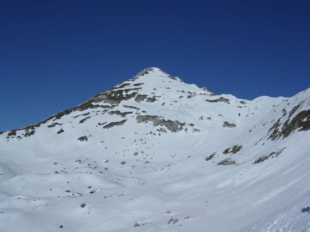 Clicca per vedere l'immagine alla massima grandezza