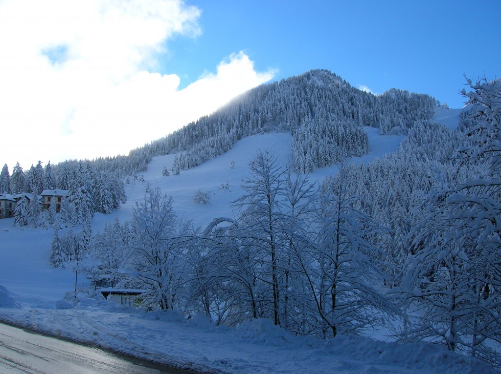 Clicca per vedere l'immagine alla massima grandezza