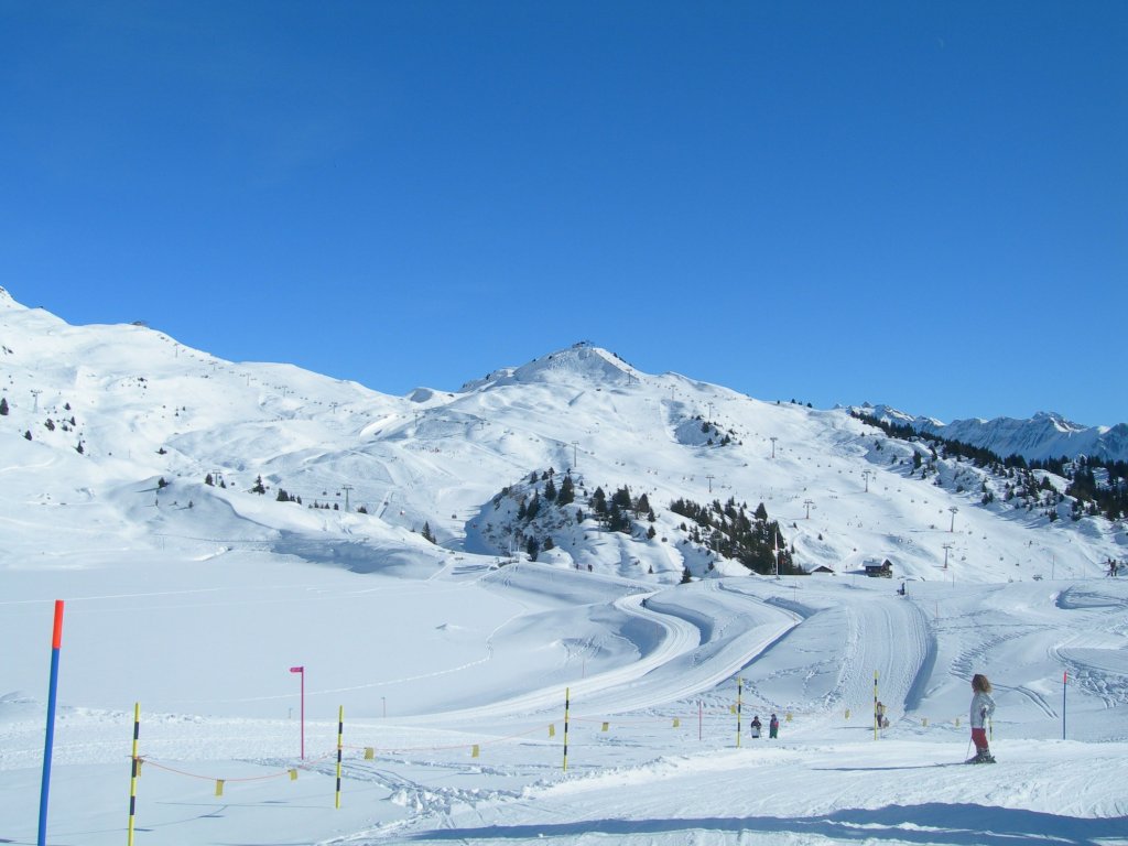 Clicca per vedere l'immagine alla massima grandezza