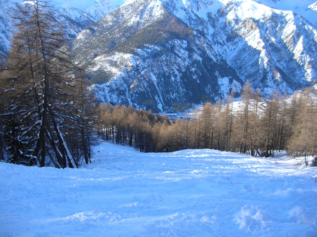 Clicca per vedere l'immagine alla massima grandezza