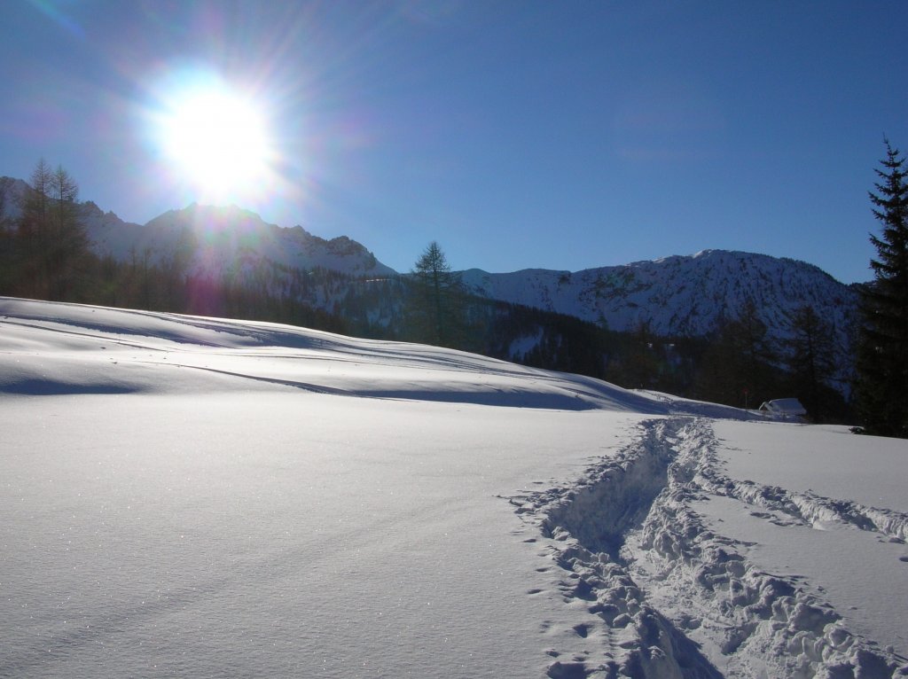 Clicca per vedere l'immagine alla massima grandezza