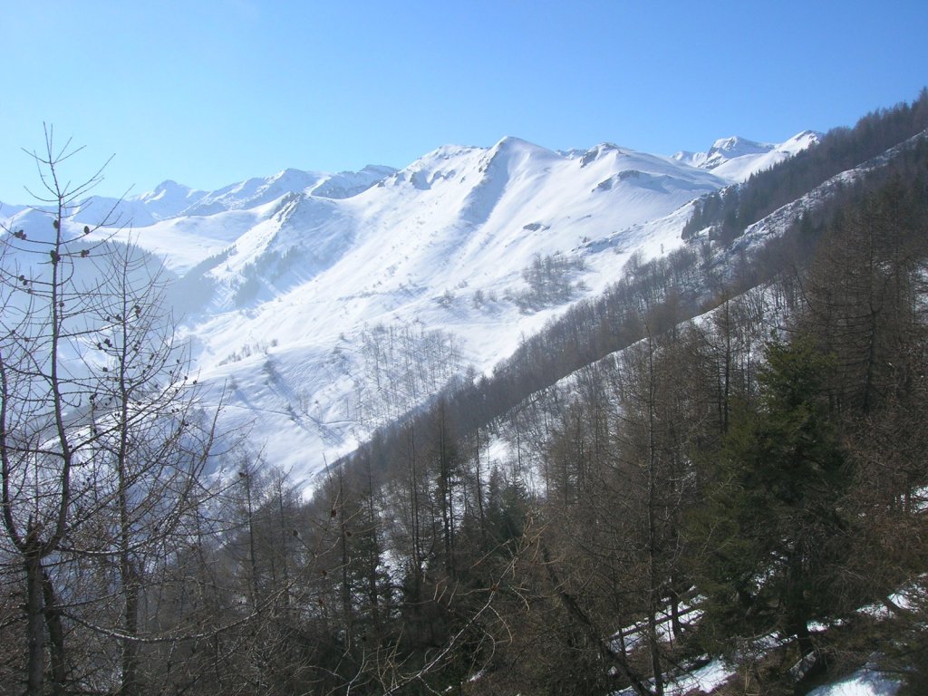 Clicca per vedere l'immagine alla massima grandezza