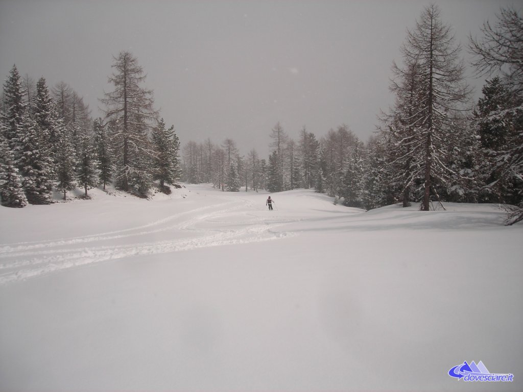 Clicca per vedere l'immagine alla massima grandezza