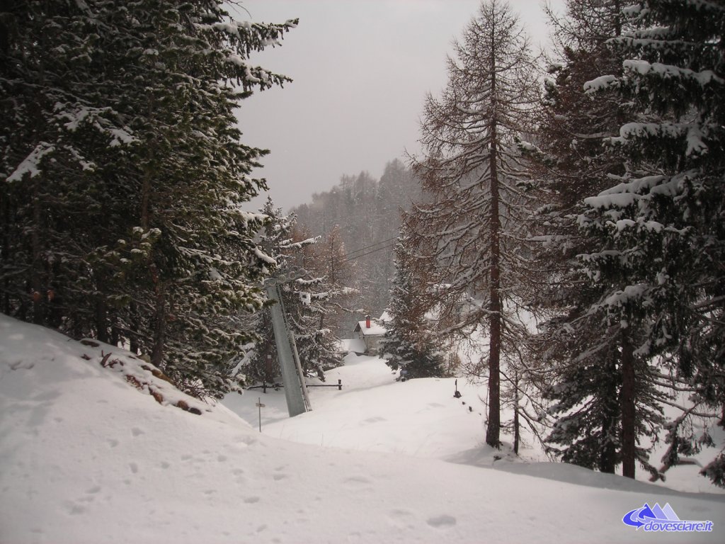 Clicca per vedere l'immagine alla massima grandezza