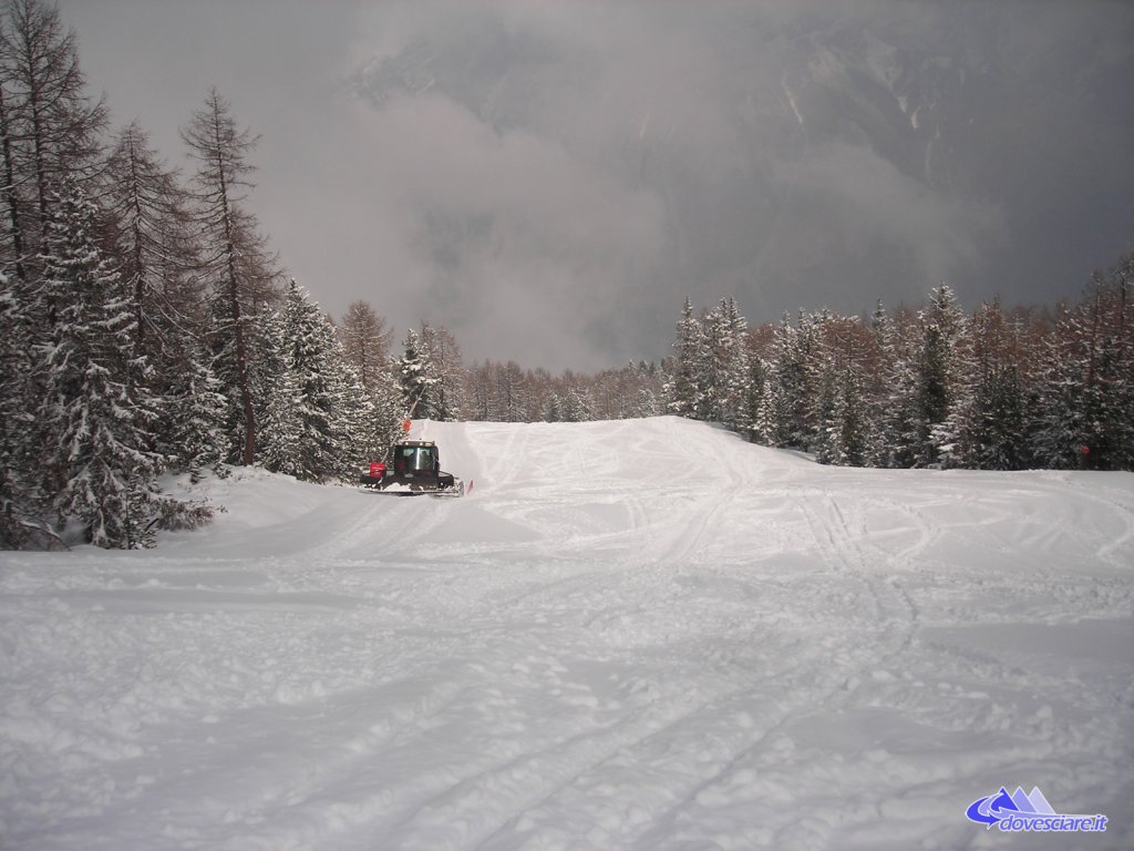 Clicca per vedere l'immagine alla massima grandezza