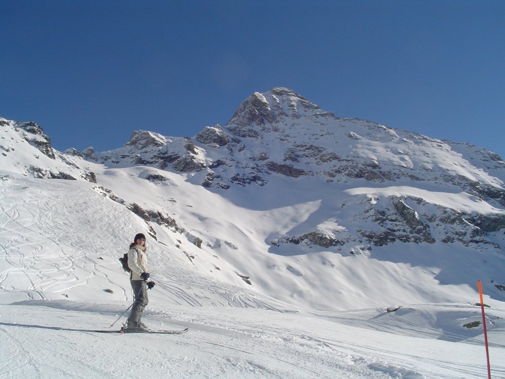 Clicca per vedere l'immagine alla massima grandezza