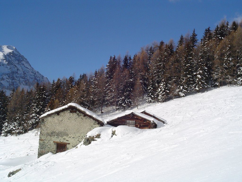 Clicca per vedere l'immagine alla massima grandezza