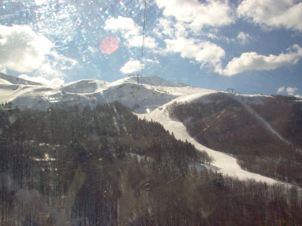 Clicca per vedere l'immagine alla massima grandezza