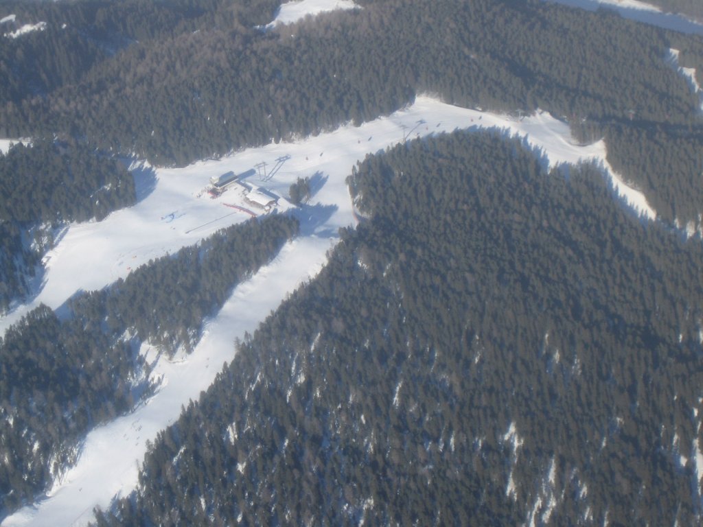 Clicca per vedere l'immagine alla massima grandezza