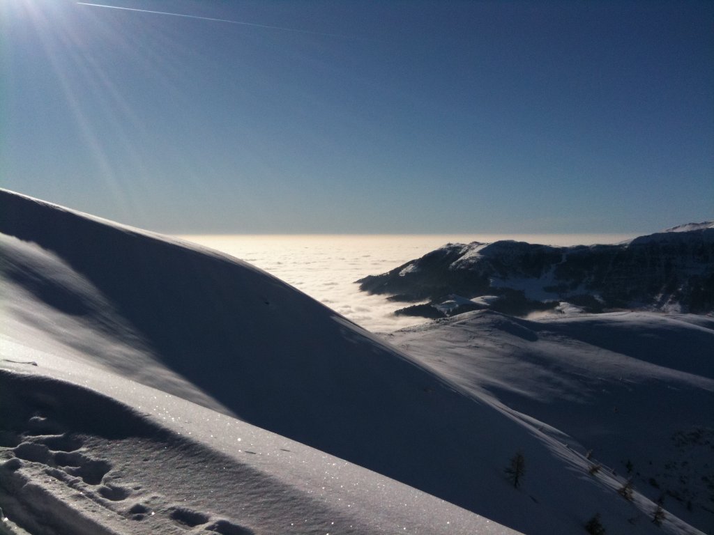 Clicca per vedere l'immagine alla massima grandezza