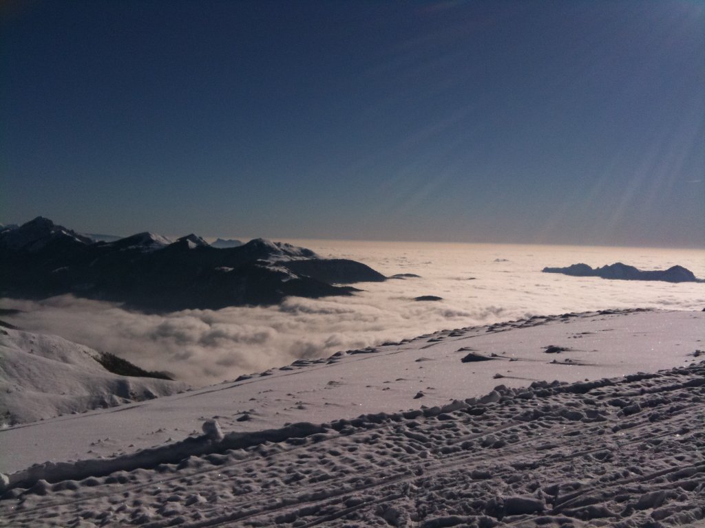 Clicca per vedere l'immagine alla massima grandezza