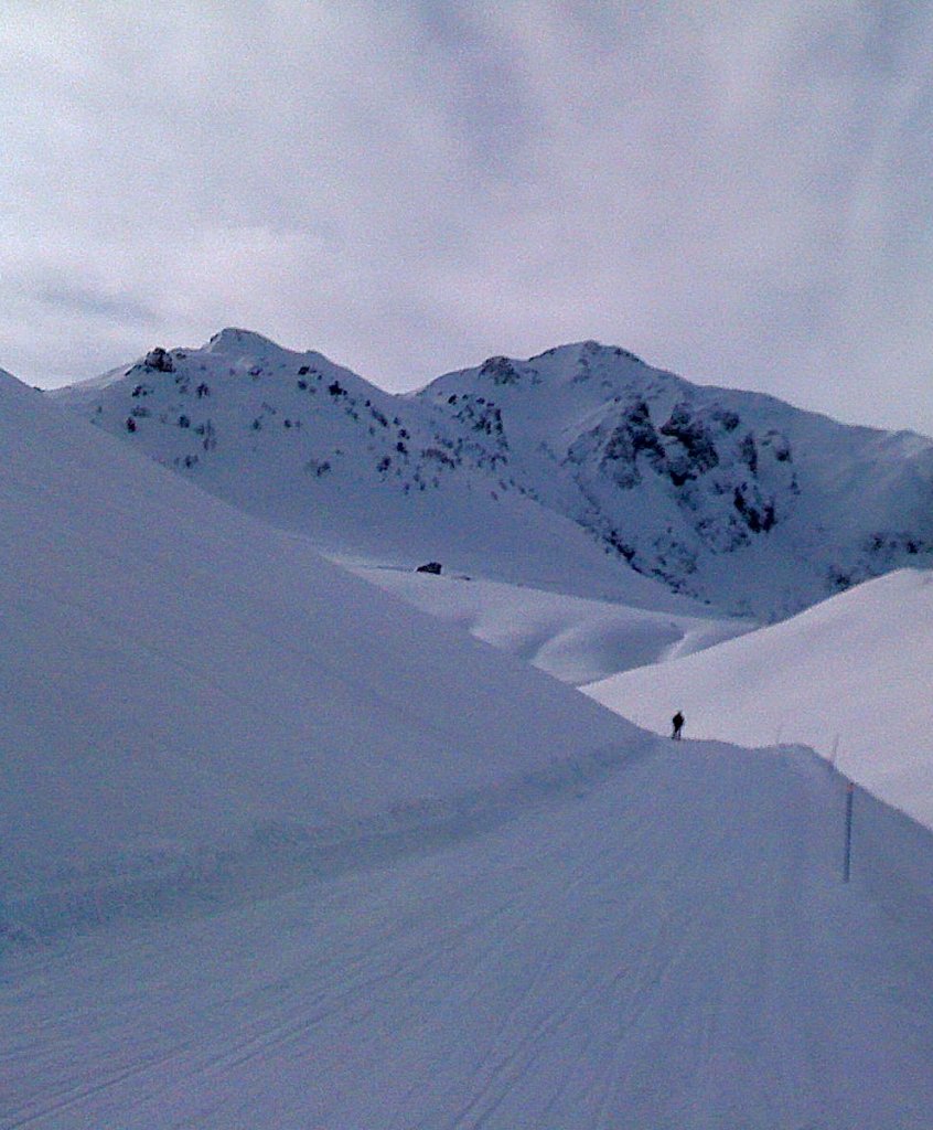 Clicca per vedere l'immagine alla massima grandezza