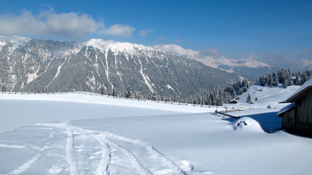 Clicca per vedere l'immagine alla massima grandezza