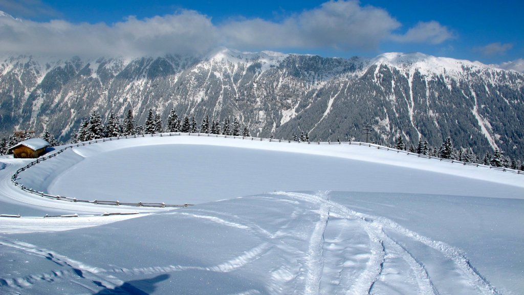 Clicca per vedere l'immagine alla massima grandezza