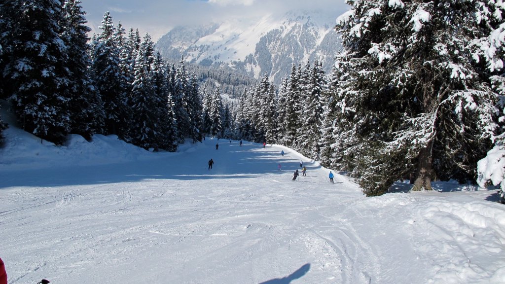 Clicca per vedere l'immagine alla massima grandezza