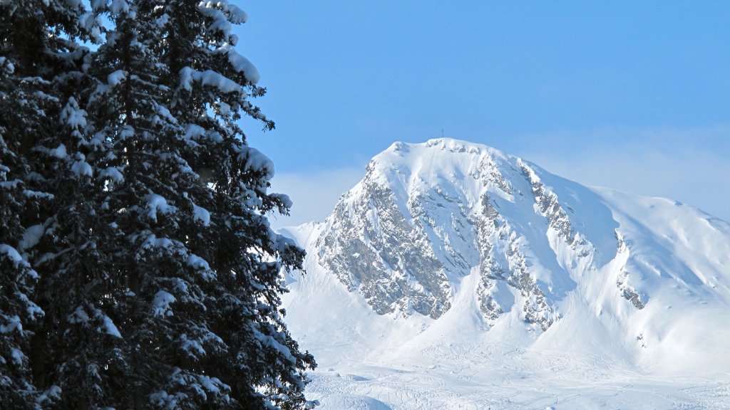 Clicca per vedere l'immagine alla massima grandezza