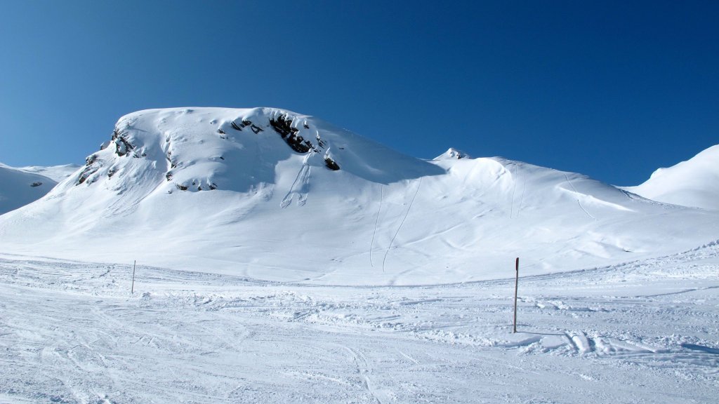 Clicca per vedere l'immagine alla massima grandezza